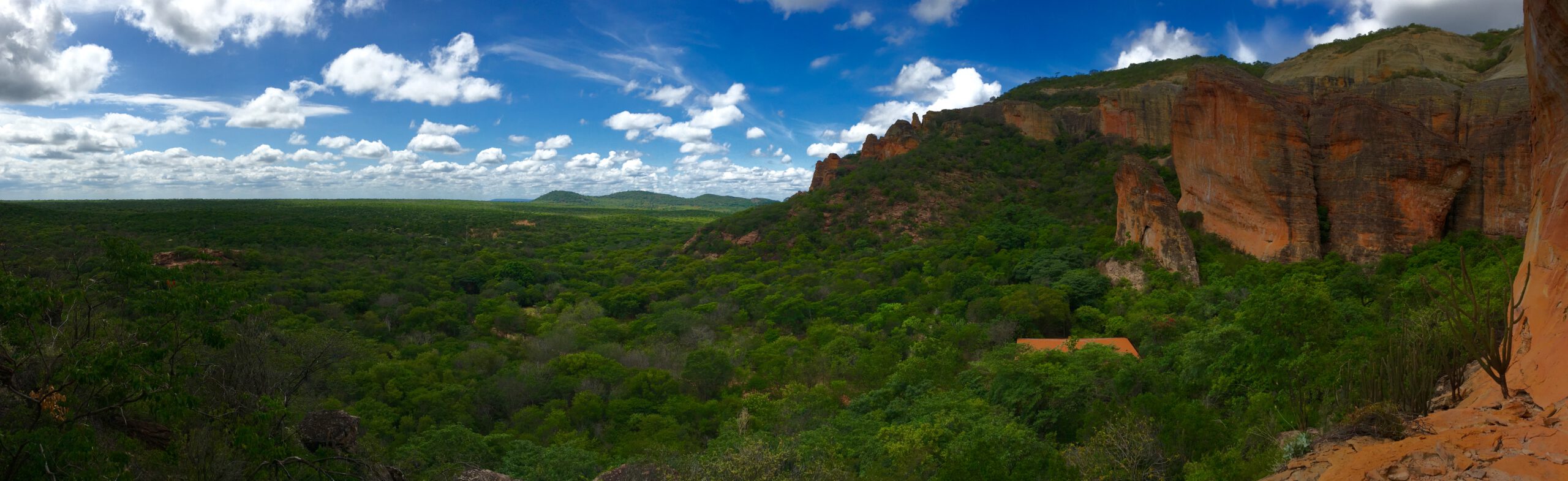 Serra da Capivara National Park - Brazil